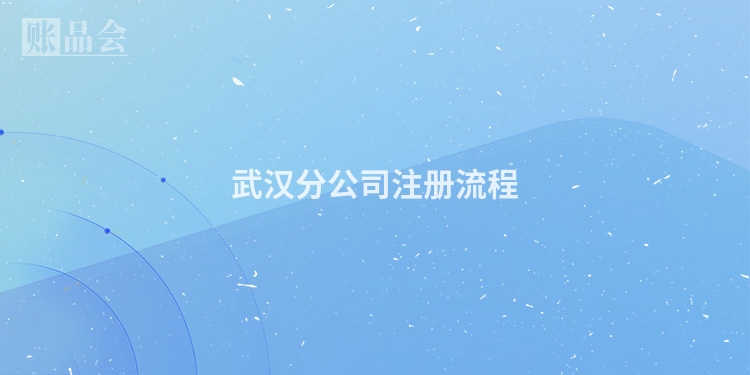 武汉分公司注册流程
